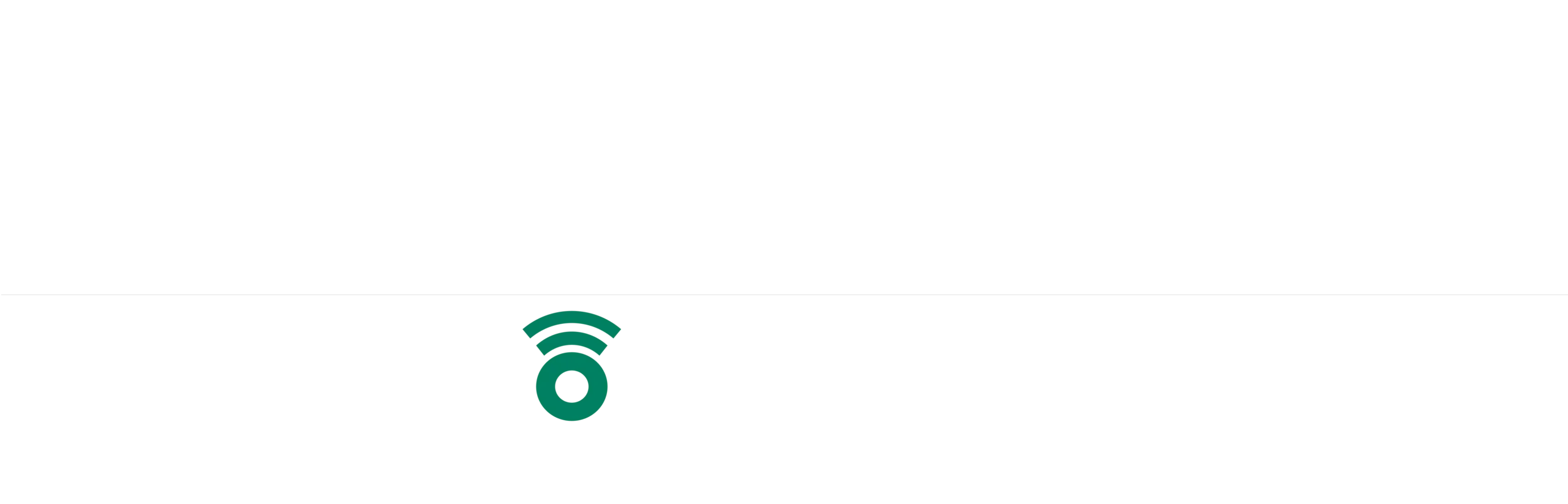 Footer Logo
